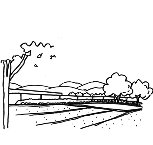 8.gif