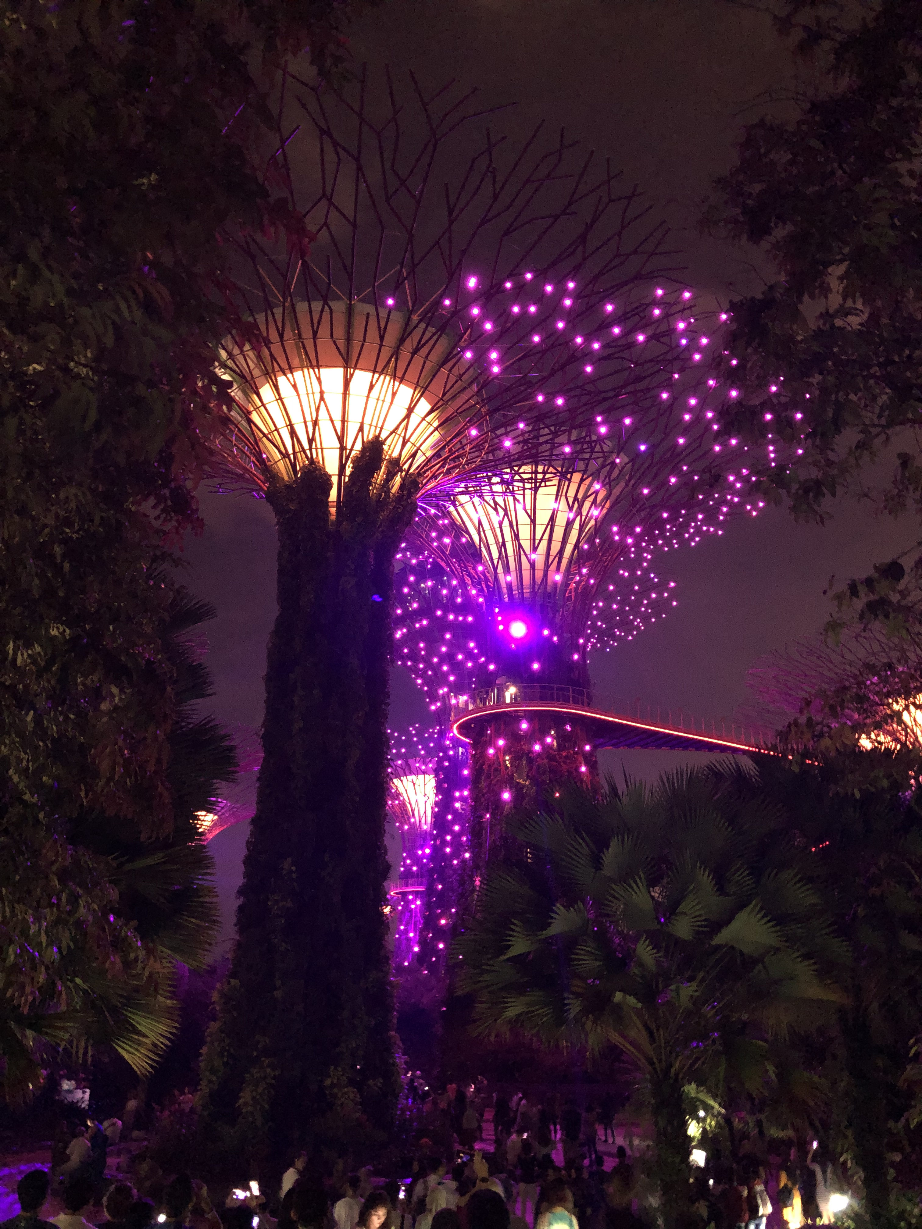 6-濱海灣花園-燈關(guān)秀_副本.jpg